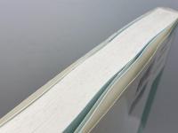 各科の西洋医学的難治例に対する漢方治療の試み たにぐち書店 石内 裕人