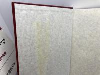 ギリシアとローマ: 古典古代の比較史的考察 河出書房新社 弓削 達