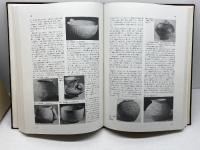 中国考古学三十年―1949~1979 平凡社 文物編集委員会