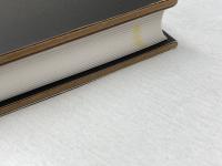 徒歩で行く150億年の旅: 歩こう。宇宙の塵がヒトになり種の大量絶滅に直面するまでの旅を バベル エリザベット サトゥリス