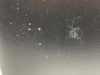 ハイデガーとともに、ハイデガーに抗して 晃洋書房 後藤 嘉也