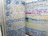 Diary of Frida Kahlo (Abradale Books) 　洋書　フリーダ・カーロ