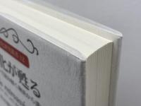 江戸文化が甦る-トロンコワ・コレクションで読み解く琳派から溝口健二まで- (大手前大学比較文化研究叢書) 思文閣出版 石毛弓