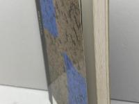 プシケー―日本ユングクラブ会報〈第13号〉特集「死と再生」 新曜社 日本ユングクラブ