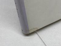 制作行為と認識の限界: 行為としての自然科学 国文社 ペーター ヤニッヒ