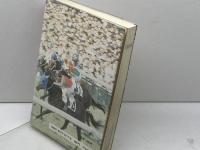 ダ-ビ-馬の履歴書 保育資料社 今井 昭雄