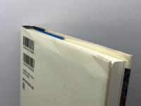 大日如来の世界 春秋社 頼富 本宏