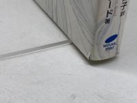 天国の真実―マシューが教えてくれる天国の生活 (マシュー・ブック1) (マシューブック 1) ナチュラルスピリット スザン・ワード