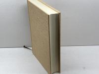 岩野泡鳴全集 第8巻 臨川書店 岩野 泡鳴