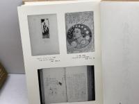 岩野泡鳴全集 第8巻 臨川書店 岩野 泡鳴