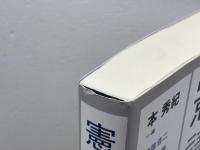 憲法講義 日本評論社 愛敬 浩二