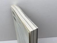 スペクトルマンVSライオン丸: うしおそうじとピープロの時代 (オタク学叢書 VOL. 3) 太田出版 鷺巣 富雄