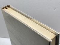 大仏建立　杉山二郎　学生社