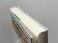 アメリカ憲法入門 第7版 (外国法入門双書) 有斐閣 松井 茂記