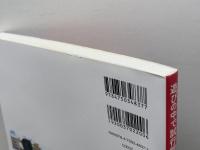 遊びの中で試行錯誤する子どもと保育者──子どもの「考える力」を育む保育実践 明石書店 岩立 京子