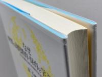 なぜ世界の幼児教育・保育を学ぶのか :子どもの豊かな育ちを保障するために ミネルヴァ書房 泉 千勢