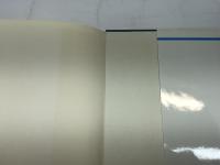 保育内容総論 (保育シリーズ)