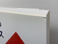 キッズのためのグラフィックス パイインターナショナル