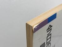 今日の最高裁判所―原点と視点 (法学セミナー増刊) 日本評論社