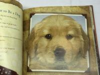 My Faithful Companion  Harvest House Pub Wright, H. Norman