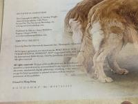 My Faithful Companion  Harvest House Pub Wright, H. Norman