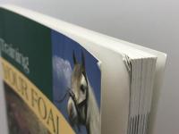 Training Your Foal: Schooling And Training Young Horses Lyons Pr Ettl, Renate