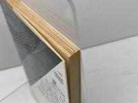 ホーニヒベルガー博士の秘密 (福武文庫 エ 401) ベネッセコーポレーション ミルチャ エリアーデ