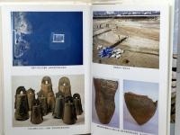 新・史跡でつづる古代の近江 ミネルヴァ書房 大橋 信弥