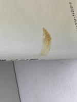 幼児教育の基礎理論 　上下巻揃　コーエン＆ルドルフ　教育出版