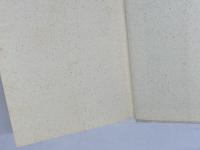 不死テクノロジー: 科学がSFを越える日