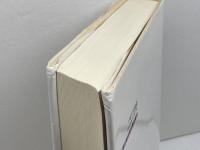 イギリス憲法 三省堂 J.A.G.グリフィス