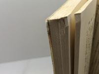 エクスタシーの系譜 (筑摩叢書 299) 筑摩書房 高橋 康也