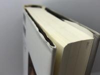 プロテスタント思想文化史: 16世紀から21世紀まで 教文館 A.E. マクグラス