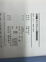 ケンブリッジ英英和辞典 小学館 投野 由紀夫