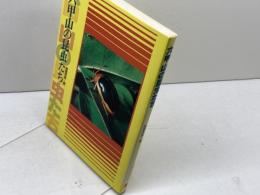 六甲山の昆虫たち (1981年) 神戸新聞出版センター 高橋 寿郎