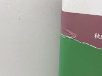 新編 英語科教育法入門 (英語・英米文学入門シリーズ) 研究社 土屋 澄男