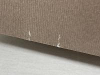 レンズの下の聖徳太子 (銀河叢書) 幻戯書房 赤瀬川原平