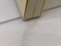 言語の思想: 国家と民族のことば (NHKブックス 246) NHK出版 田中 克彦