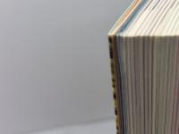 英単語ネットワ-ク形容詞編: わかる覚える使える アルク 田中 茂範