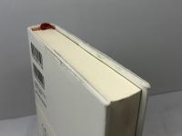 神学の技法: キリスト教は役に立つ 平凡社 佐藤 優