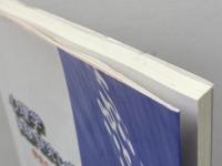 心理学実験研究レポートの書き方: 学生のための初歩から卒論まで 北大路書房 ブルース フィンドレイ