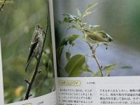 兵庫の野鳥 神戸新聞総合印刷 神戸新聞出版センター