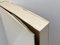 ヨーロッパの政治: 歴史政治学試論 東京大学出版会 篠原 一