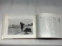 兵庫の絵はがき　のじぎく文庫