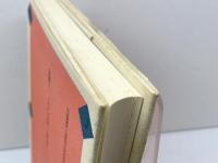 日本にあった朝鮮王国: 謎の秦王国と古代信仰 白水社 大和 岩雄