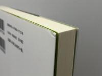 コンパクト聖書注解 コリント人への第一の手紙II 教文館 H.W.ホーランダル