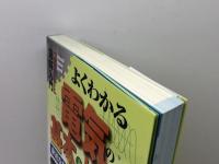 図解入門よくわかる電気の基本としくみ 秀和システム 藤瀧 和弘