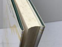 ICA模様石に秘められた謎 文藝春秋 コルネリア ペトラトゥ