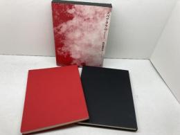 スペクタクル 思潮社 野村 喜和夫