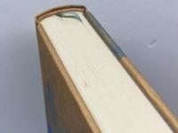 ドイツ・ロマン派全集 第8巻 月下の幻視者 国書刊行会 前川 道介